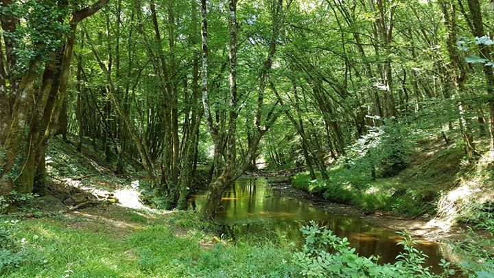 Camping Le pré du moulin Image