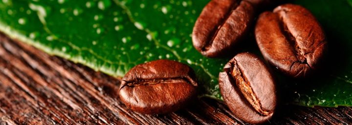 Zavarka.kz - Premium Coffee & Tea Image