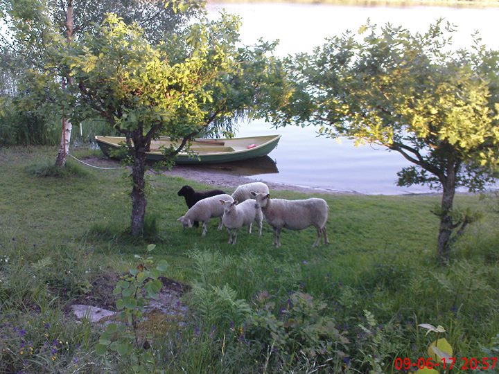 Sparrens Bed and Breakfast Image