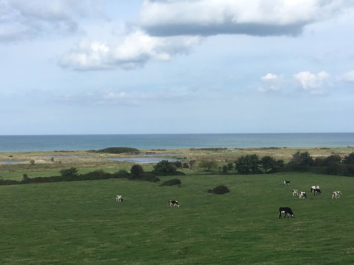 Le Mas Normand, chambres d'hôtes de charme en Normandie Image