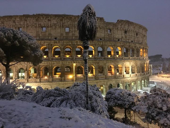 Casa Cimabue Roma Bed & Breakfast Image