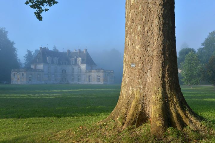 Jardins du Château d'Acquigny Image