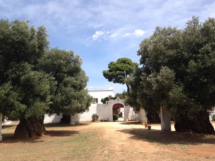 Agriturismo Antica Masseria Brancati Image