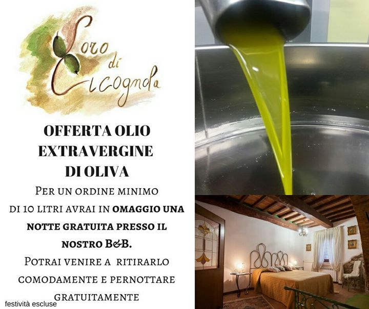 Bed and breakfast L'Oro di Cicognola Umbria Image