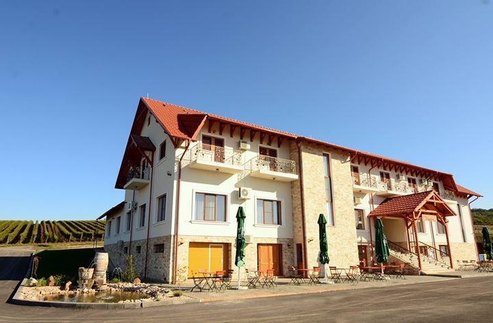 Pensiunea Kemsilvanum - Fort Silvan Image