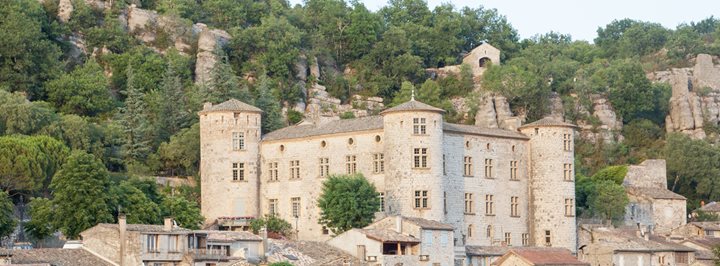 Château de Vogüé Image
