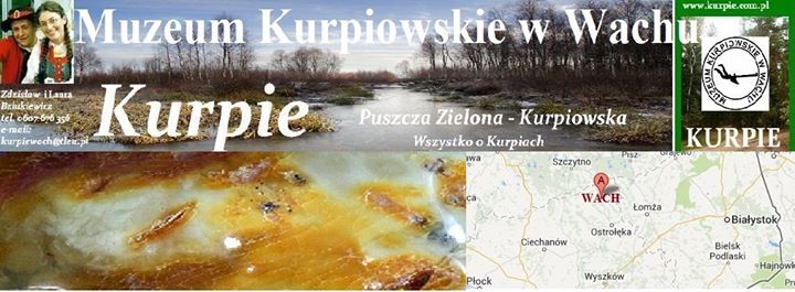 Muzeum Kurpiowskie w Wachu Image
