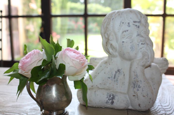 LE MAS DES AROMES, Chambres d'hôtes de Charme en Provence Image