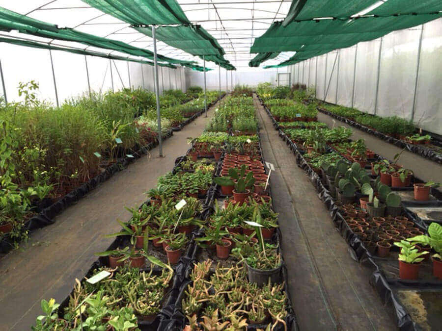 The Ark Herb Farm, Costa Rica Image