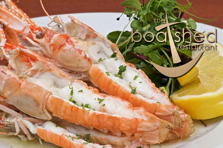 The Boatshed Restaurant and Bar Bistro Image