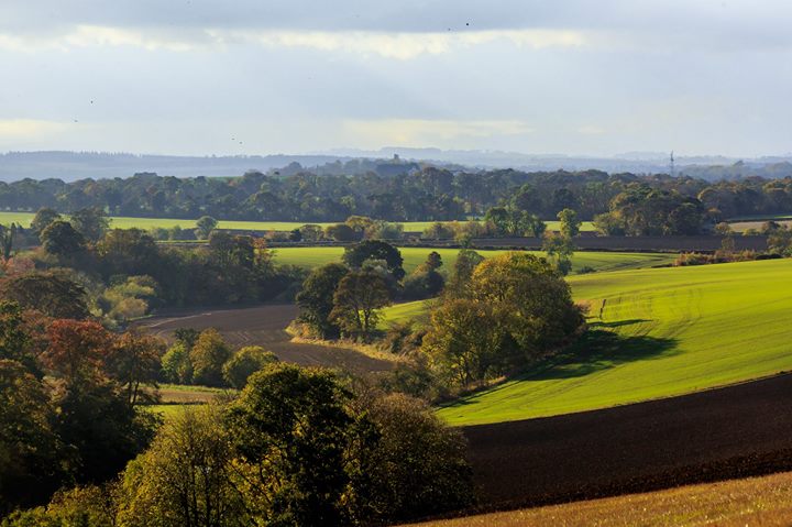 Overhailes Farm B&B and Holiday Cottages Image