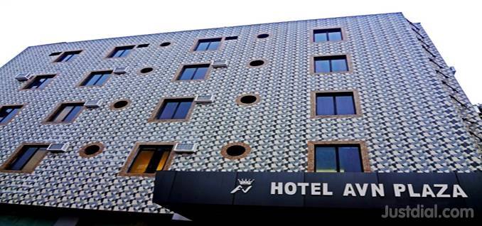 HOTEL AVN PLAZA Image