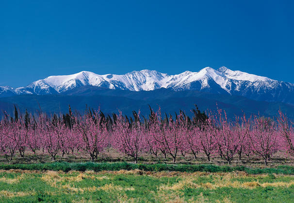Chambres d'hôtes de l'ancienne poste Image