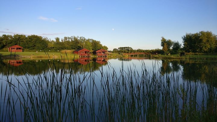 Ørsted Fisk & Golf Image