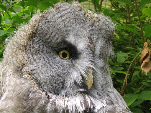 Zoo de Lille Image