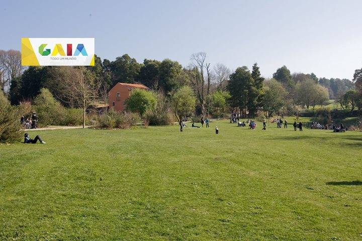Parque da Lavandeira Image
