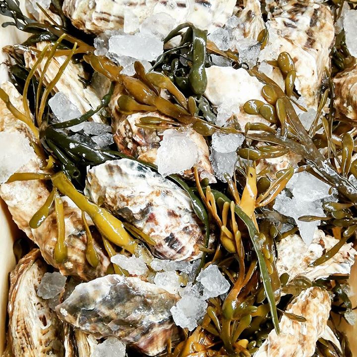 Paprykarz fish market Image