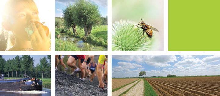 Parc Naturel Régional Scarpe-Escaut Image