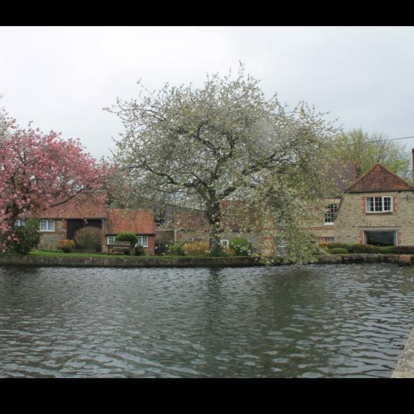 Mill Farm Bed & Breakfast, Horningsham Image