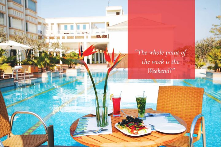 Treehouse Hotel Club & Spa Image