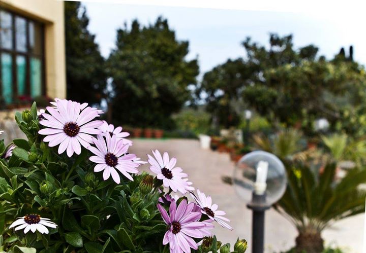 Agriturismo Rajata Image