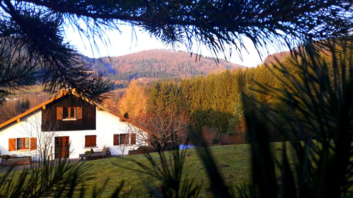 La ferme du Gueuty chambre d'hôtes Image