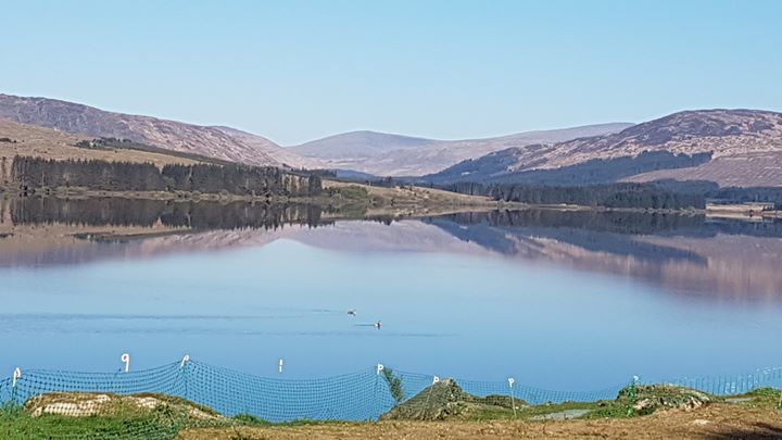 Galloway Lodge at Clatteringshaws Visitor Centre Image