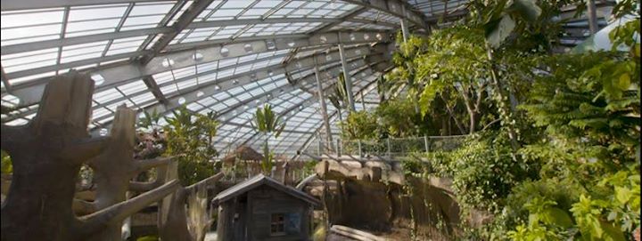 La Planète des Crocodiles Image