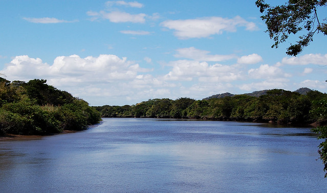 Birds Island (Isla Pajaros) in the Tempisque River, Costa Rica Image