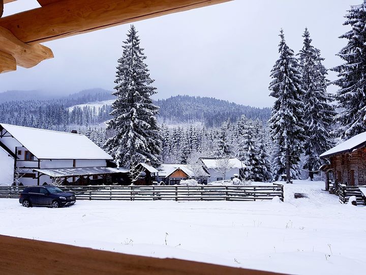 Pensiunea Casa Zimbru Image