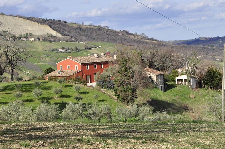 Agriturismo Martelletto Image