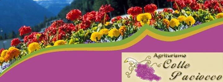 Agriturismo Colle Paciocco Image