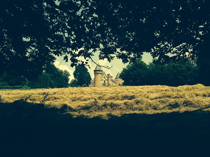 Château de Busset Image