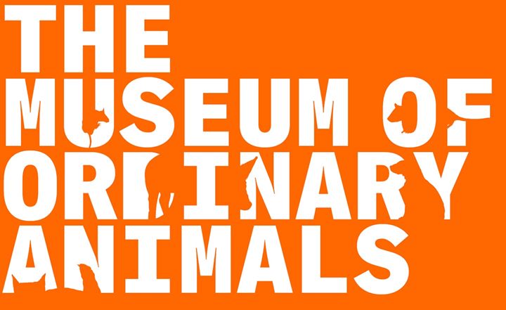 Grant Museum of Zoology, UCL Image