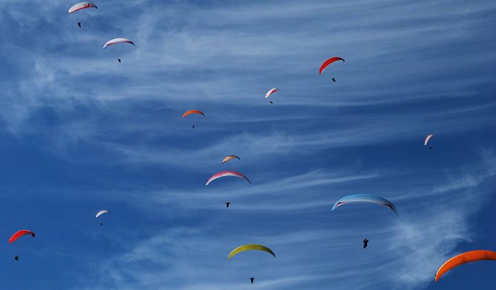Ecole de parapente Les Ailes du Mercantour Image