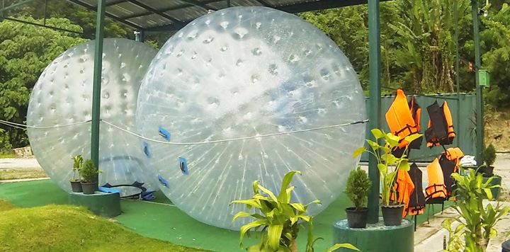 Cornwall Zorbing Park Image