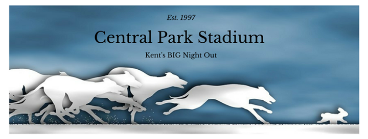 Central Park Stadium Image