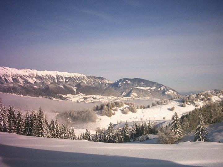 Pensiunea Raza Soarelui Image