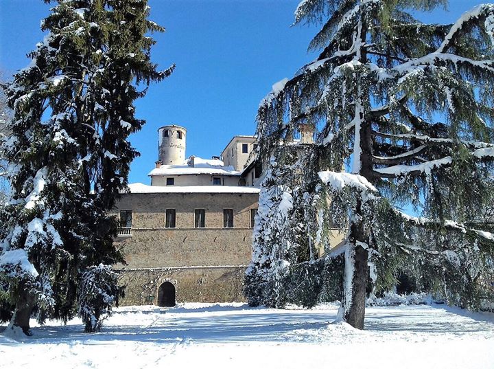 FAI - Castello della Manta Image