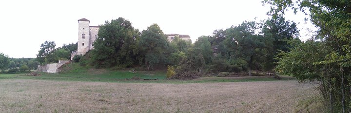 Château de Sargnac Image
