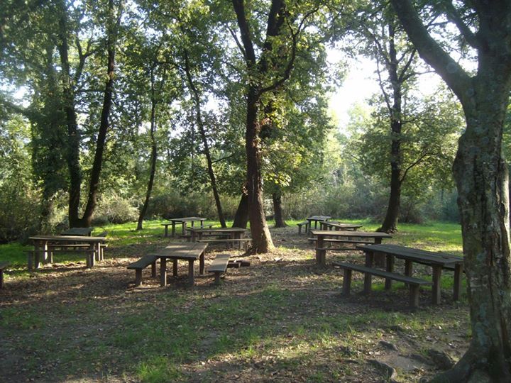 Parco del Rigo - Bosco di Cesano Image