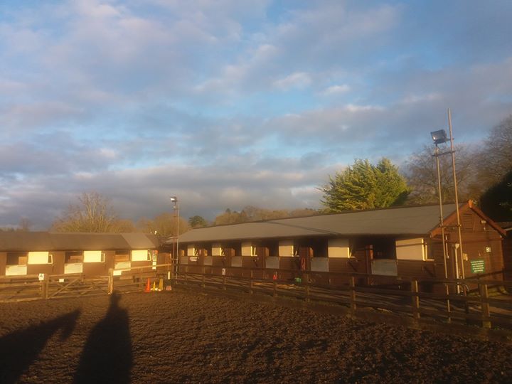 Wildwoods Riding Centre Image