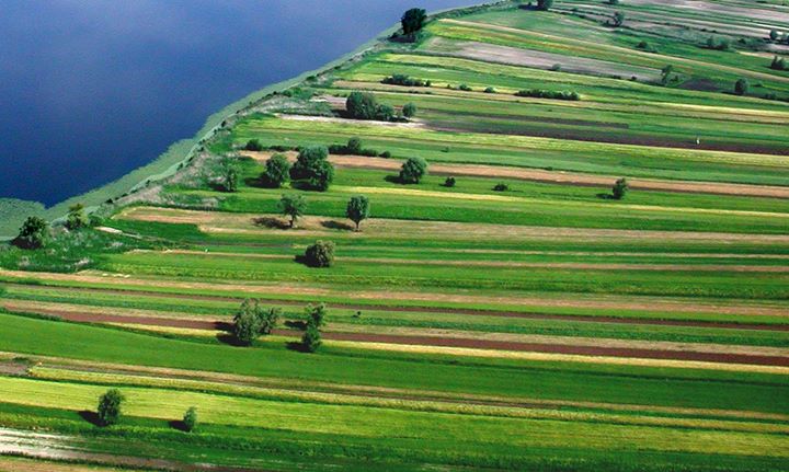 Riserva Naturale dei Laghi Lungo e Ripasottile Image