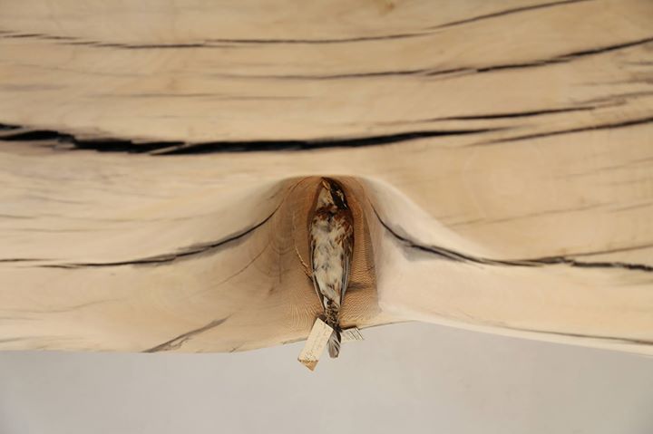 Galerie Imane Farès Image