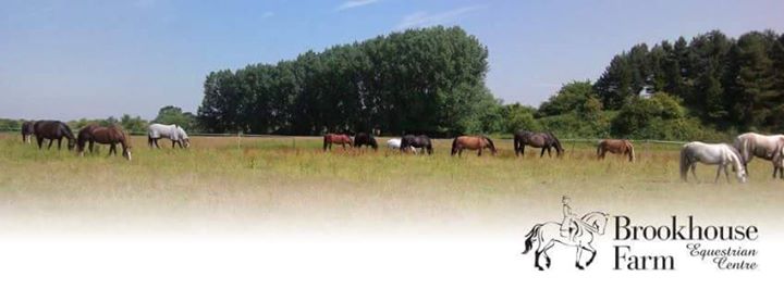 Brookhouse Farm Riding School Image