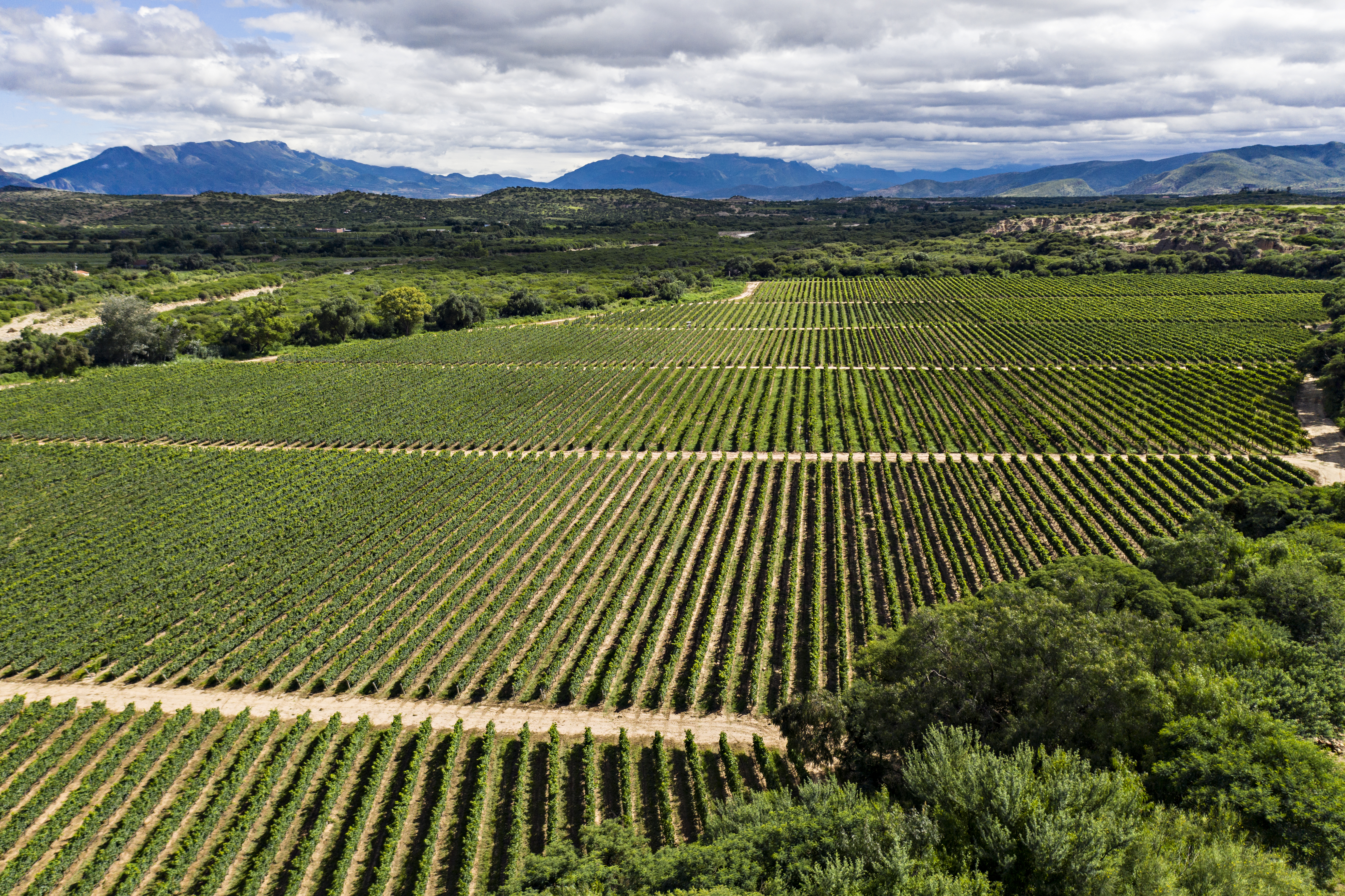 Campos de Solana, Tarija Image