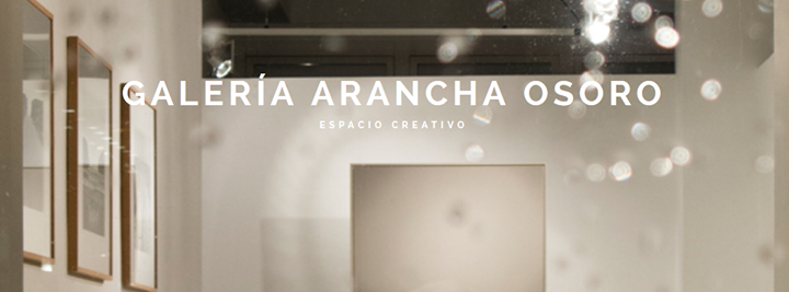 Galería Arancha Osoro Image