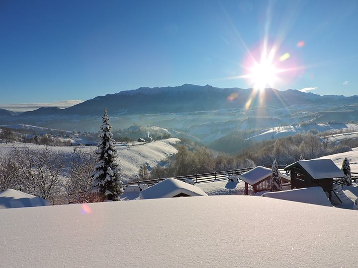 Pensiunea Casa Ema Image