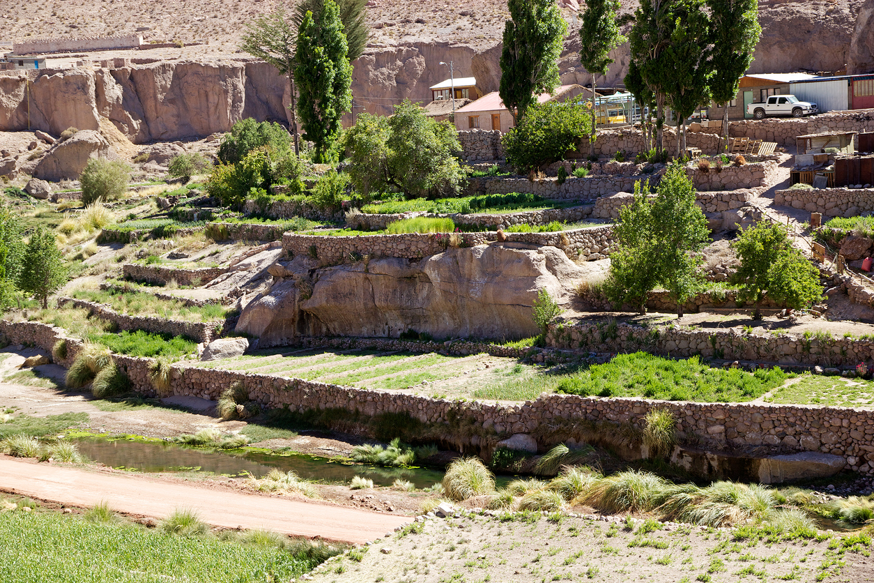 Caspana, Calama Image