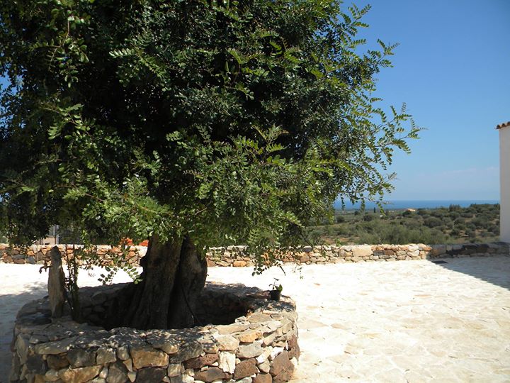 Agriturismo sa conca ruia Image